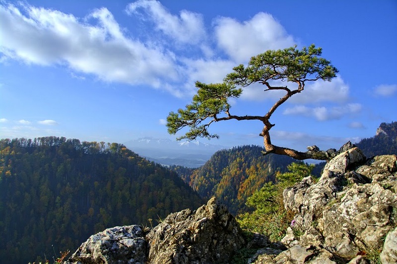 Pieniny w trzy dni  - wycieczka klasowa 3 dniowa